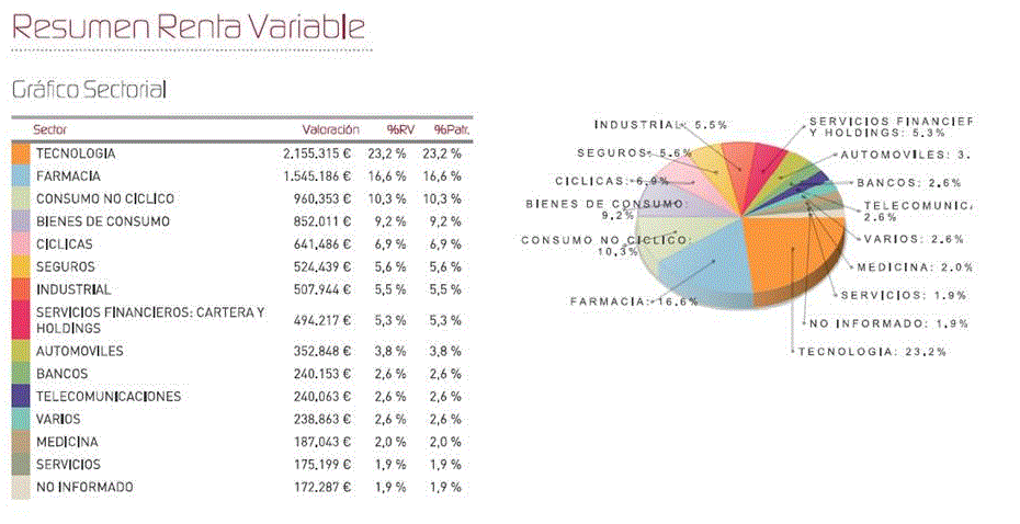 Resumen renta variable