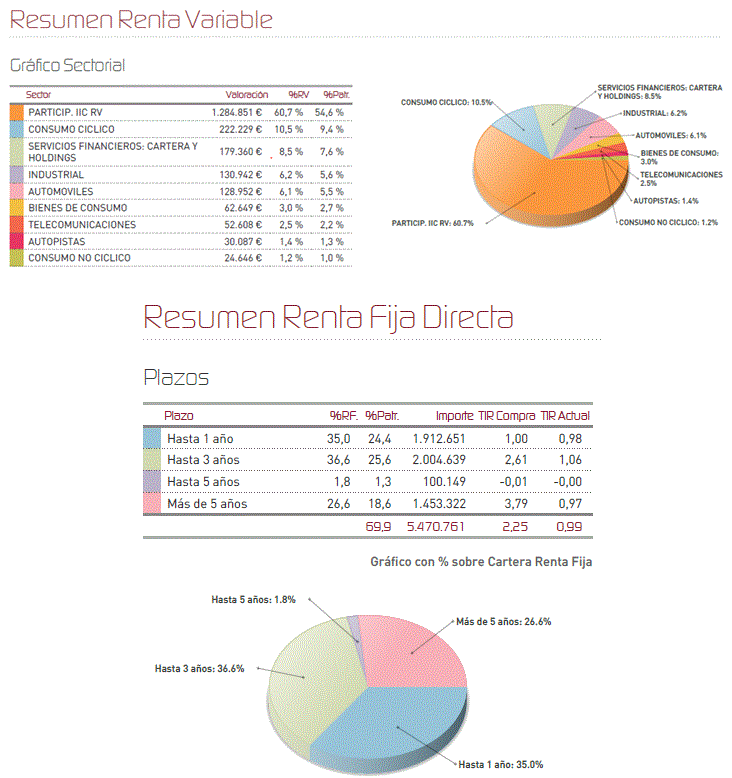 Resumen renta variable y renta fija directa.
